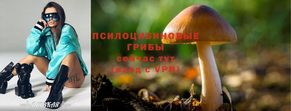 мескалин Бородино