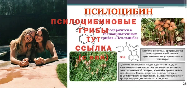 мяу мяу мука Бронницы