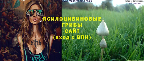 мескалин Бородино