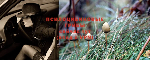 сатива Бугульма