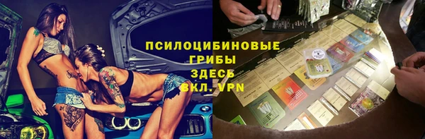 сатива Бугульма